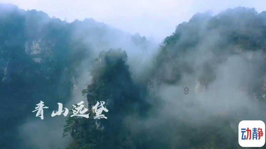 泡泡袖夏装