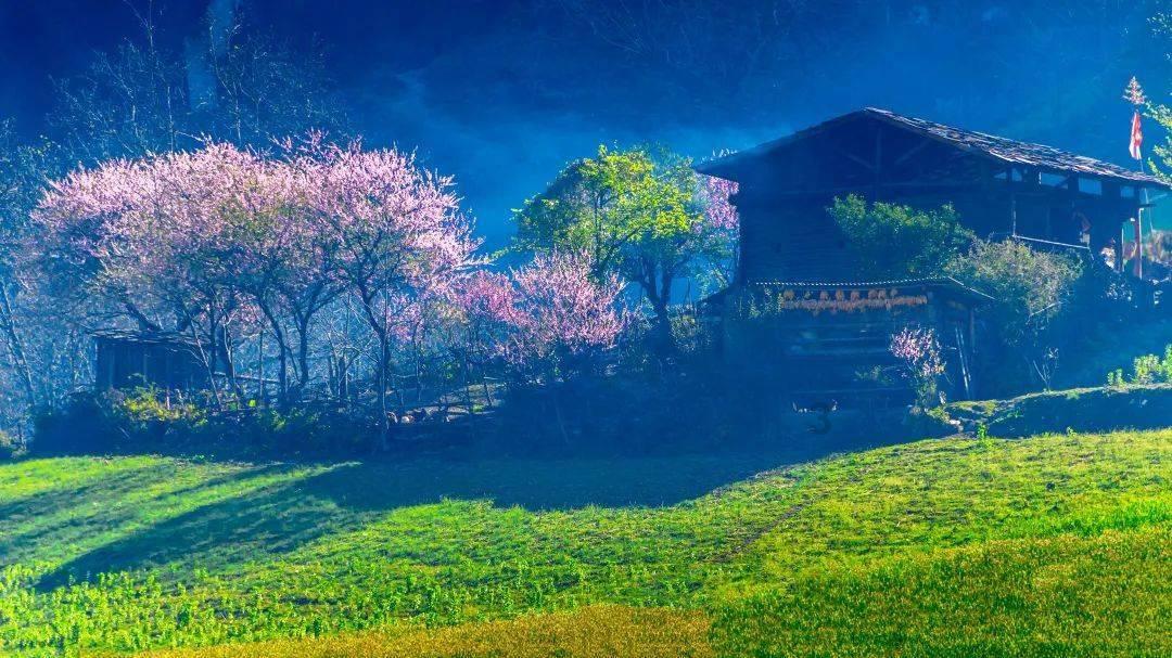 生化危机0