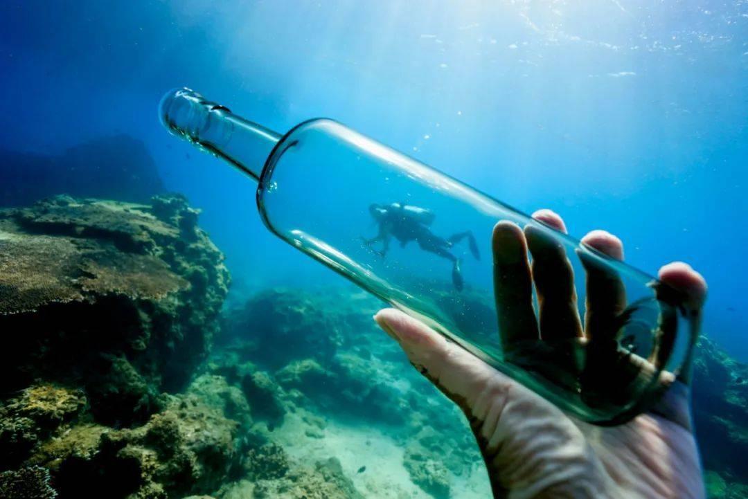 星海湾海域斑海豹跟随冬泳爱好者在海里同游 专家:斑海豹有追逐尾随的习性