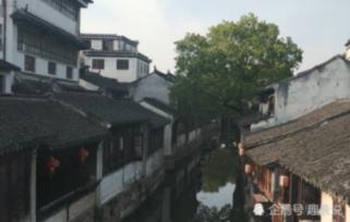 冯绍峰和赵丽颖离婚后，谁真正得到了解脱？游戏画面