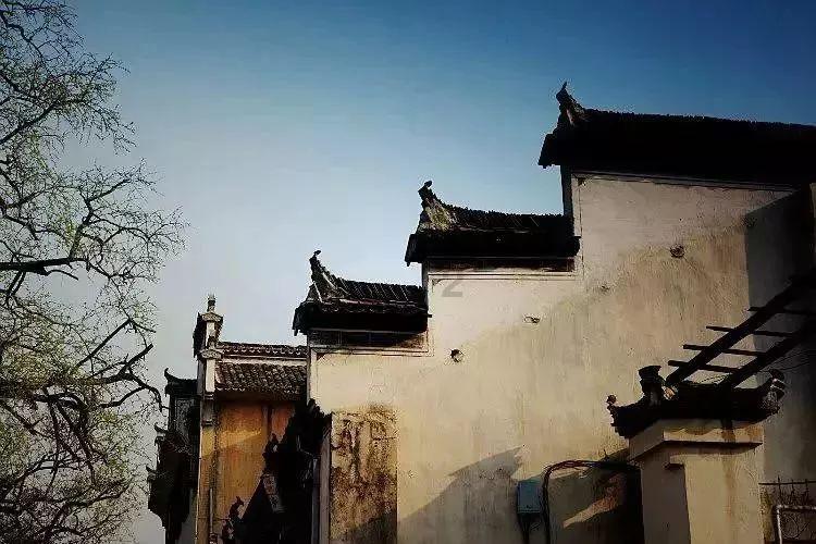 离石公安成功抓获一名外省上网逃犯